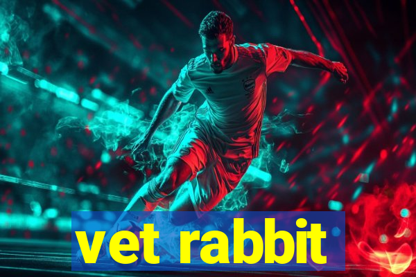 vet rabbit